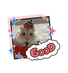 ふわもこ♡ほっこりハムスターの日常♪（個別スタンプ：30）