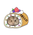 ふわもこ♡ほっこりハムスターの日常♪（個別スタンプ：31）