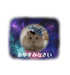ふわもこ♡ほっこりハムスターの日常♪（個別スタンプ：32）