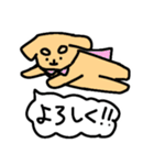 も〜っと！かわいい犬のスタンプ（個別スタンプ：3）