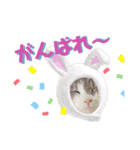 ウチの6きょうだい_part2（個別スタンプ：5）