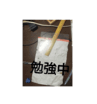 行動言伝（個別スタンプ：1）