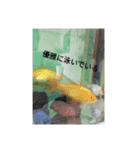 行動言伝（個別スタンプ：15）