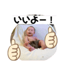 あおの使えるスタンプ（個別スタンプ：36）