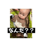 あおの使えるスタンプ（個別スタンプ：37）