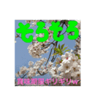 関西オヤジの独り言。女子編（個別スタンプ：3）