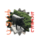 関西オヤジの独り言。女子編（個別スタンプ：14）