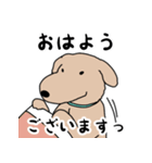 愛犬マーブル・アポロ（個別スタンプ：1）