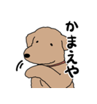 愛犬マーブル・アポロ（個別スタンプ：11）