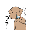 愛犬マーブル・アポロ（個別スタンプ：20）