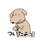 愛犬マーブル・アポロ（個別スタンプ：25）