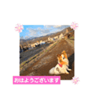 ぱぴぱぴパピヨン20（個別スタンプ：4）