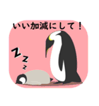 ぐっすりペンギンの日常（第1弾）（個別スタンプ：17）