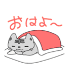 ぐーたらねこ しまさん（個別スタンプ：1）