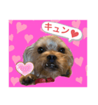 かわいい！ペロリんスタンプ❤️（個別スタンプ：9）