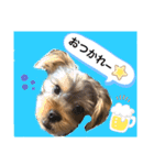 かわいい！ペロリんスタンプ❤️（個別スタンプ：10）