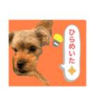 かわいい！ペロリんスタンプ❤️（個別スタンプ：19）