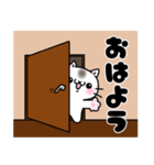 日常で使いやすい白い猫スタンプ（個別スタンプ：1）