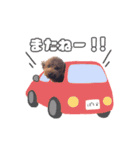 ぽちの毎日スタンプ（個別スタンプ：7）
