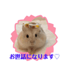 ほっこりハムスターの日常会話♡2（個別スタンプ：11）