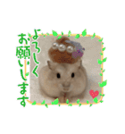 ほっこりハムスターの日常会話♡2（個別スタンプ：13）
