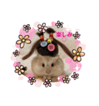 ほっこりハムスターの日常会話♡2（個別スタンプ：14）