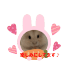 ほっこりハムスターの日常会話♡2（個別スタンプ：15）