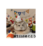 ほっこりハムスターの日常会話♡2（個別スタンプ：17）