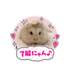 ほっこりハムスターの日常会話♡2（個別スタンプ：19）