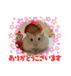 ほっこりハムスターの日常会話♡2（個別スタンプ：20）