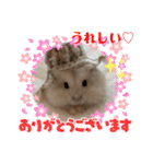 ほっこりハムスターの日常会話♡2（個別スタンプ：22）