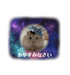 ほっこりハムスターの日常会話♡2（個別スタンプ：30）