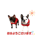 フレブル  モネ ノノさん（個別スタンプ：1）