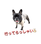 フレブル  モネ ノノさん（個別スタンプ：2）