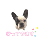 フレブル  モネ ノノさん（個別スタンプ：3）