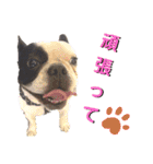 フレブル  モネ ノノさん（個別スタンプ：4）