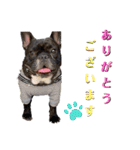 フレブル  モネ ノノさん（個別スタンプ：7）
