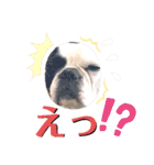 フレブル  モネ ノノさん（個別スタンプ：34）