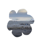 良い海（個別スタンプ：31）