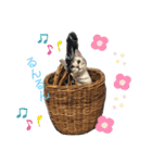 ジィルスタンプ④（個別スタンプ：7）