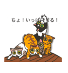 ネコ保護スタンプ（個別スタンプ：1）