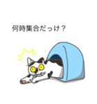 ネコ保護スタンプ（個別スタンプ：4）