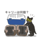 ネコ保護スタンプ（個別スタンプ：6）
