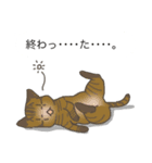 ネコ保護スタンプ（個別スタンプ：8）
