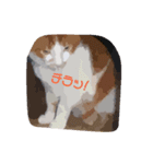 ミルクちゃん(イラスト風)（個別スタンプ：5）