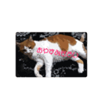 ミルクちゃん(イラスト風)（個別スタンプ：8）