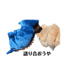 猫の猫写（個別スタンプ：1）