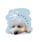 ムウくんシリーズ（個別スタンプ：1）
