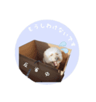 ムウくんシリーズ（個別スタンプ：5）
