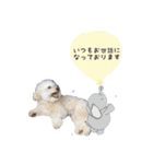 ムウくんシリーズ（個別スタンプ：6）